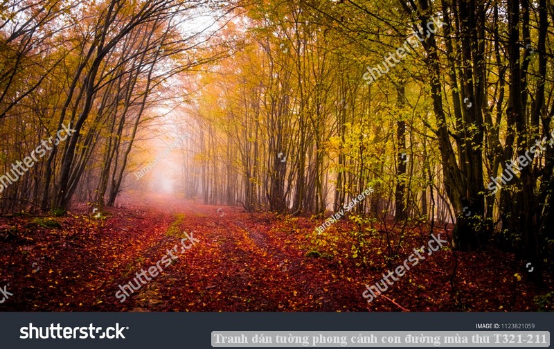 Tranh dán tường phong cảnh hồ thác, cây cối T321-559